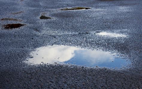 Google’s Waymo Robotaxis Pause Services After Struggling to Navigate Puddles.