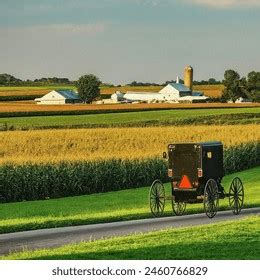 Amish Return to Supreme Court Over New York Vaccine&nbsp;Fines